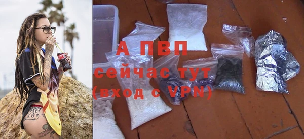 apvp Касимов