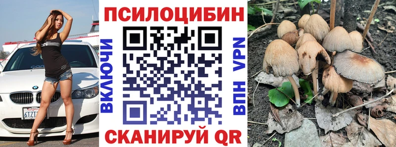 Купить  Рославль  Галлюциногенные грибы Psilocybine cubensis 