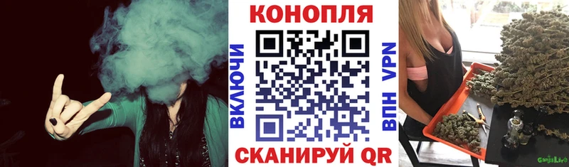 Купить  Рославль  МАРИХУАНА сатива 